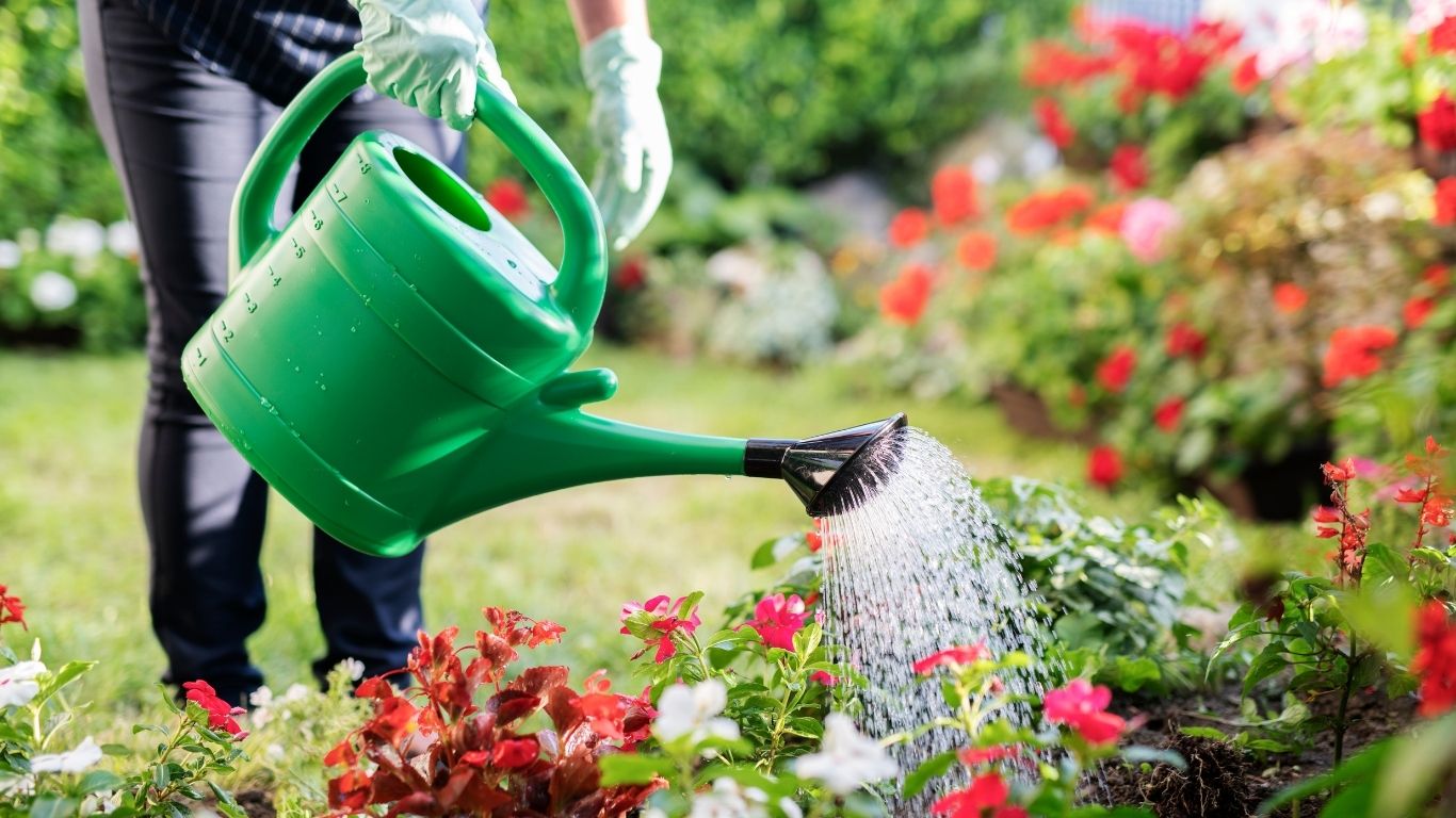 https://www.plandesobrietesaumurois.fr/?view=article&id=12:restrictions-deau-adoptons-les-bons-reflexes&catid=2